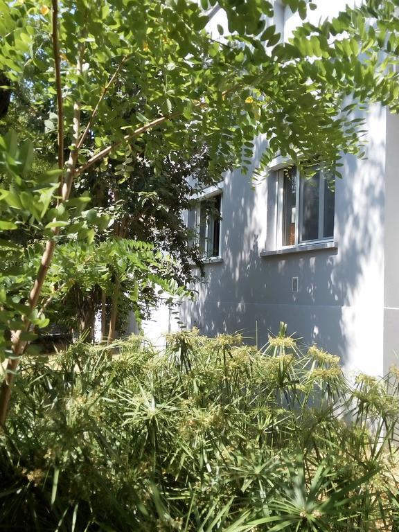 Grand Studio Proche Transport Montpellier Ngoại thất bức ảnh