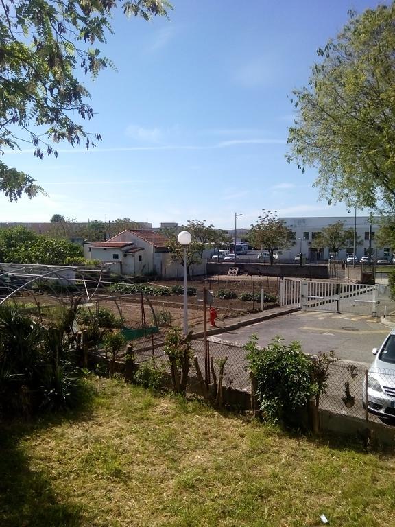 Grand Studio Proche Transport Montpellier Ngoại thất bức ảnh