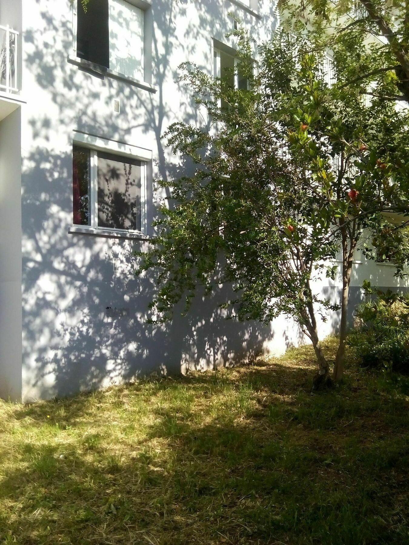 Grand Studio Proche Transport Montpellier Ngoại thất bức ảnh